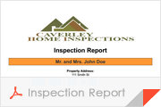 Sample inspection report